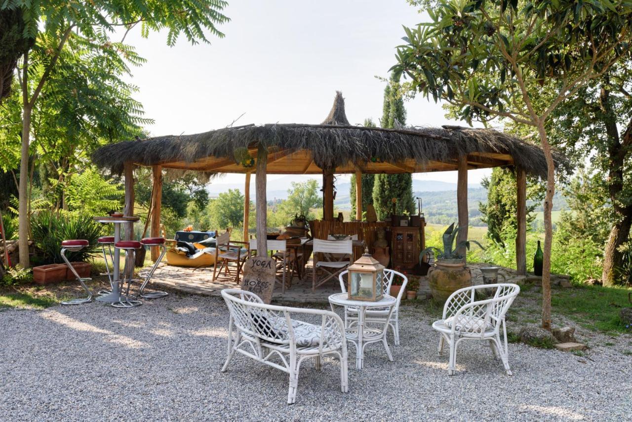 Agriturismo Quarantallina Buonconvento Exterior photo